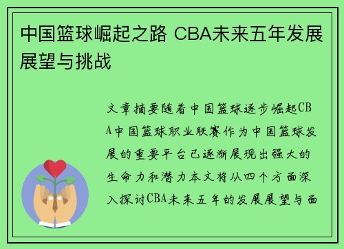 中国篮球崛起之路 CBA未来五年发展展望与挑战