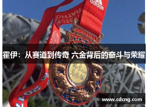霍伊：从赛道到传奇 六金背后的奋斗与荣耀