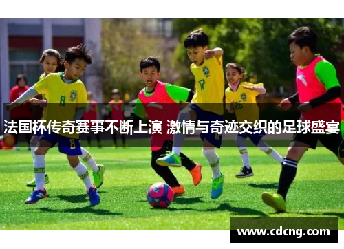 法国杯传奇赛事不断上演 激情与奇迹交织的足球盛宴