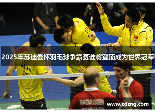 2025年苏迪曼杯羽毛球争霸赛谁将登顶成为世界冠军