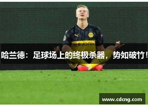 哈兰德：足球场上的终极杀器，势如破竹！