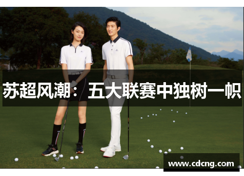 苏超风潮：五大联赛中独树一帜