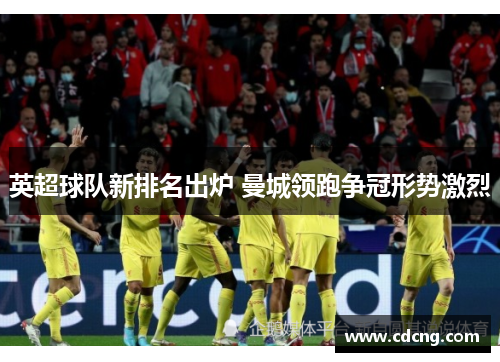 英超球队新排名出炉 曼城领跑争冠形势激烈